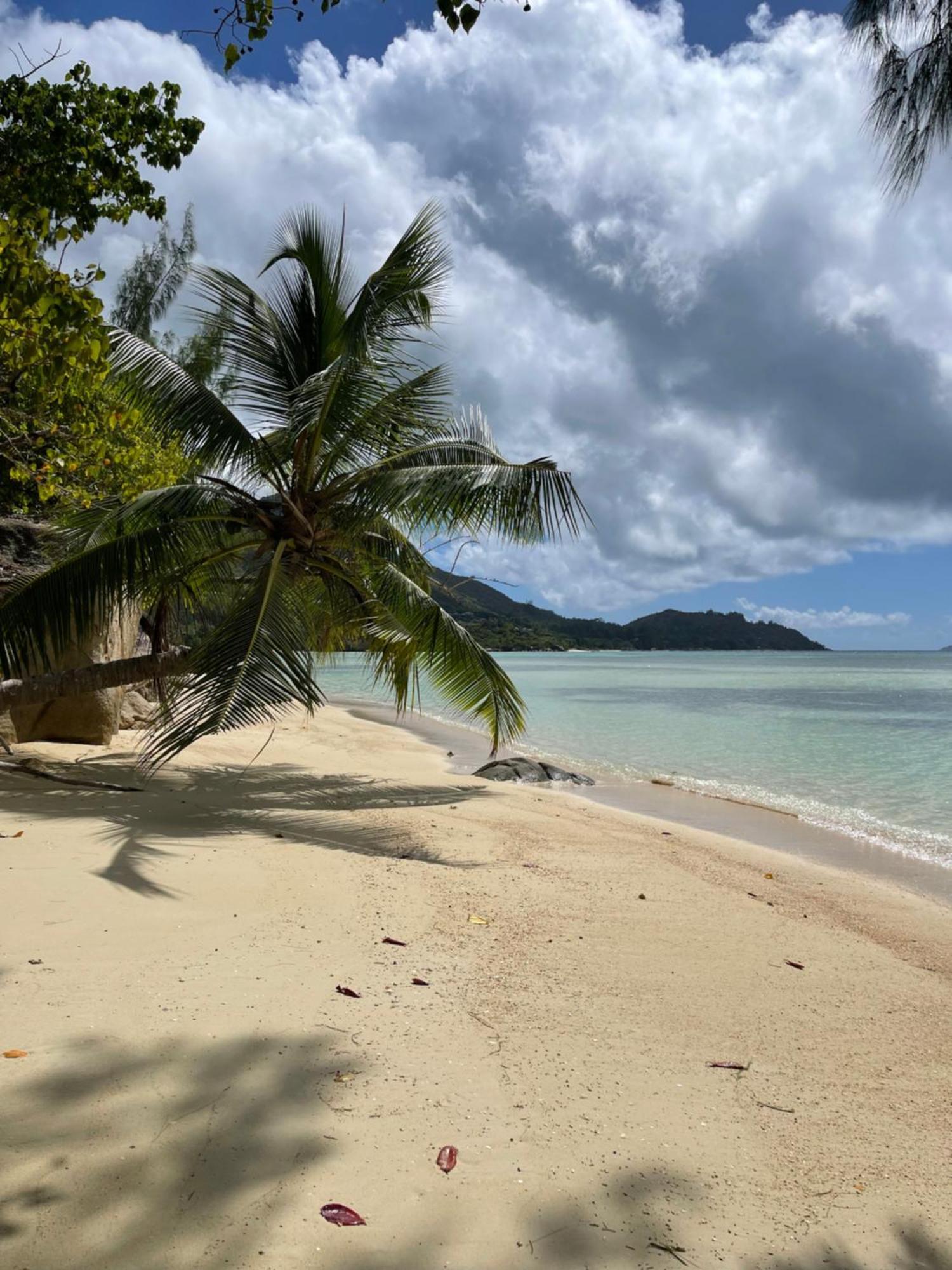 Blissful Hill Top Apartment Anse Volbert Village Exterior foto